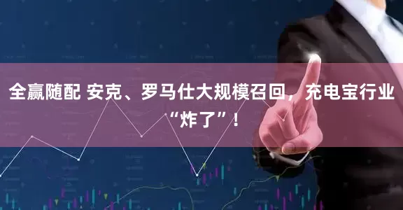 全赢随配 安克、罗马仕大规模召回，充电宝行业“炸了”！