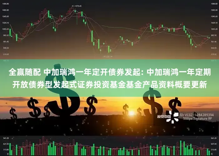 全赢随配 中加瑞鸿一年定开债券发起: 中加瑞鸿一年定期开放债券型发起式证券投资基金基金产品资料概要更新