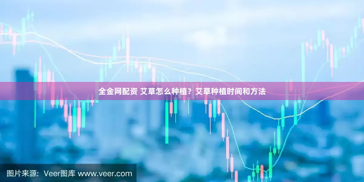 全金网配资 艾草怎么种植？艾草种植时间和方法